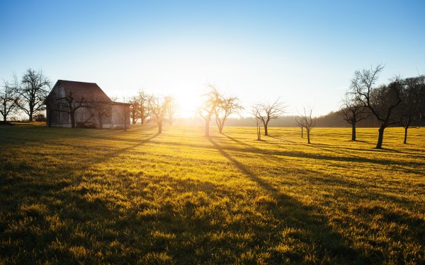 field with barn and winter trees at sunrise
